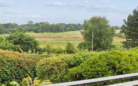 Ylermi - 1.5Km from the Sea: Lucht, Groen, Vegetation, Wolk, Struik, Grasland, Plantengemeenschap, Land Lot, Plain, Cumulus