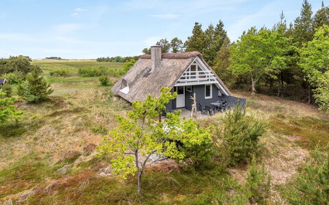 Antero - 4Km from the Sea: Gras, Grasland, Landschap, Ecoregio, Plain, Plantengemeenschap, Land Lot, Buitenmeubels, Prairie, Shrubland