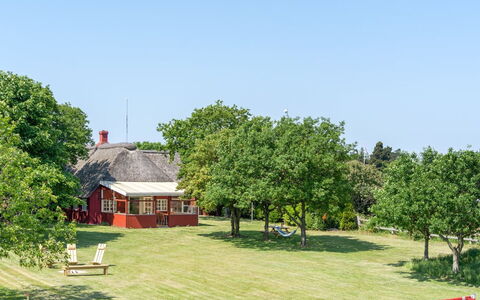 Edelgard - 4.5Km from the Sea: Boom, Gras, Plain, Landschap, Grasland, Landelijk Gebied, Land Lot, Gazon, Verblijf