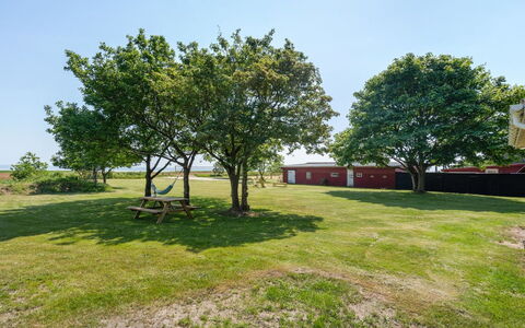 Edelgard - 4.5Km from the Sea: Lucht, Boom, Gras, Plain, Land Lot, Gazon, Schaduw, Tuin, Weide, Park