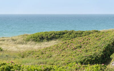 Heidine - 176M from the Sea
