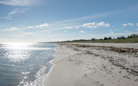 Elfride - 200M from the Sea: Zwembad, Buitenmeubels, Meubilair, Toevlucht, Flagstone, Eco Hotel, Schaduw, Stoel, Vrije Tijd, Landgoed