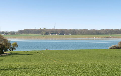 Ermelinda - 900M to the Fjord: Dak, Huis, Huis, Verblijf, Siding, Landgoed, Oprit, Garden Gebouwen, Werf, Schuur