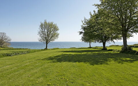 Helena - 250M from the Sea: Blauw, Groen, Gras, Grasland, Natuurlijk Landschap, Horizon, Ecoregio, Landschap, Plain, Land Lot