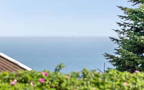Jarmericus - 300M from the Sea: Lucht, Blauw, Groen, Horizon, Zee, Oceaan, Kust, Tropen, Evergreen