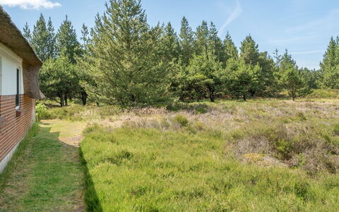 Hakun - 4Km from the Sea: Boom, Gras, Vegetation, Struik, Grasland, Land Lot, Plantengemeenschap, Plain, Groundcover