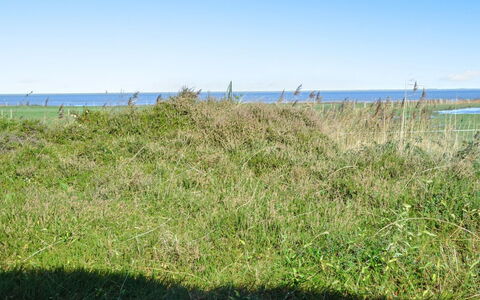 Asfrid - 3.5Km from the Sea: Blauw, Lucht, Groen, Gras, Grasland, Vegetation, Zomer, Ecoregio, Plantengemeenschap, Land Lot