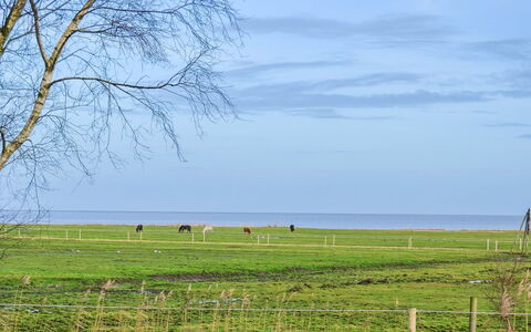 Asfrid - 3.5Km from the Sea: Blauw, Gras, Groen, Grasland, Natuurlijk Landschap, Plain, Pasture, Zomer, Ecoregio, Veld