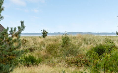 Merta: Struik, Stedelijk Ontwerp, Groundcover, Steen, Appartement, Landgoed, Metselwerk, Balkon, Landscaping
