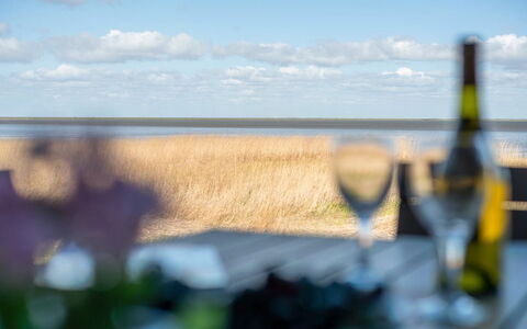 Deljan - 3.5Km from the Sea: Struik, Stedelijk Ontwerp, Groundcover, Steen, Appartement, Landgoed, Metselwerk, Balkon, Landscaping