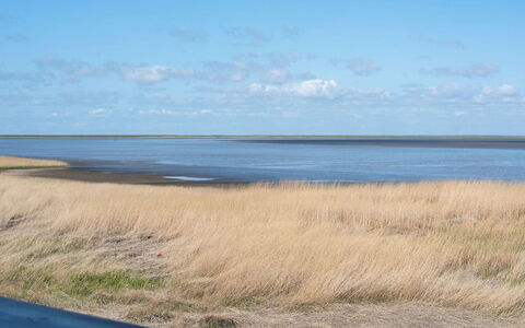 Deljan - 3.5Km from the Sea: Struik, Stedelijk Ontwerp, Groundcover, Steen, Appartement, Landgoed, Metselwerk, Balkon, Landscaping