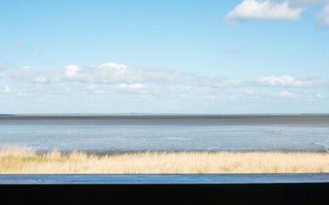 Deljan - 3.5Km from the Sea: Struik, Stedelijk Ontwerp, Groundcover, Steen, Appartement, Landgoed, Metselwerk, Balkon, Landscaping