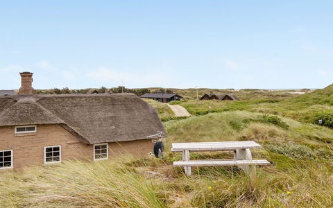 Stenkwith - from the Sea: Plantengemeenschap, Zonlicht, Kruidachtige Plant, Tuin, Plantage, Landbouw, Boerderij