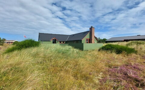 Rayne - from the Sea: Plantengemeenschap, Zonlicht, Kruidachtige Plant, Tuin, Plantage, Landbouw, Boerderij