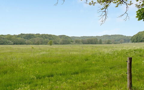 Rohan - 500M from the Sea: Groen, Gras, Grasland, Boom, Natuurlijke Omgeving, Natuurlijk Landschap, Vegetation, Pasture, Plain, Veld