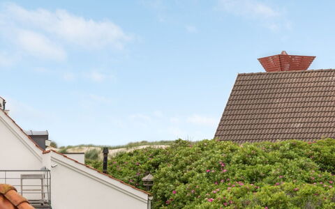 Riki - 150M from the Sea: Dak, Huis, Huis, Verblijf, Siding, Landgoed, Oprit, Garden Gebouwen, Werf, Schuur
