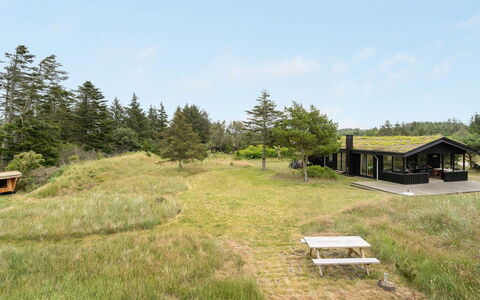 Jorek - 1.3Km from the Sea: Gras, Grasland, Struik, Land Lot, Ecoregio, Landelijk Gebied, Plantengemeenschap, Plain, Groundcover