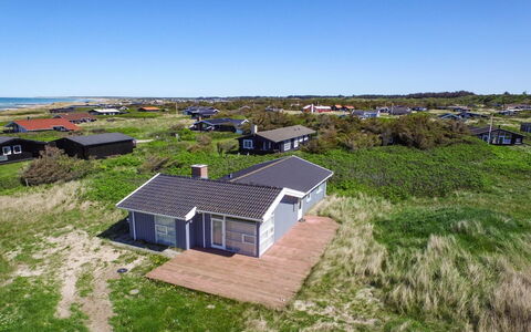 Gilbert - 96M from the Sea: Plantengemeenschap, Zonlicht, Kruidachtige Plant, Tuin, Plantage, Landbouw, Boerderij