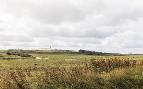 Volfgang - 250M from the Sea: Rood, Tableware, Serveware, Drinkware, Dishware, Voedsel