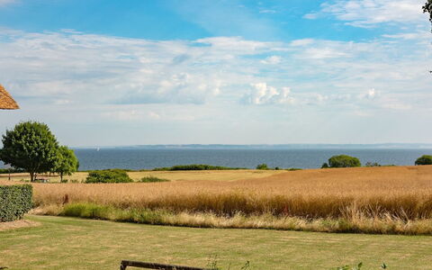 Edithe - 250M from the Sea: Lucht, Blauw, Groen, Gras, Natuurlijk Landschap, Grasland, Horizon, Plain, Ecoregio