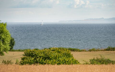 Edithe - 250M from the Sea: Lucht, Blauw, Horizon, Water, Dag, Zwemwater, Wolk, Ecoregio, Grasland, Zee