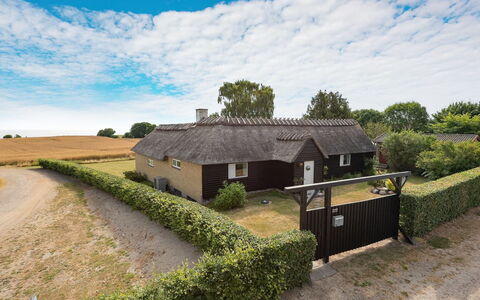 Edithe - 250M from the Sea: Gras, Dak, Huis, Verblijf, Landelijk Gebied, Huis, Land Lot, Thatching, Boerderij, Dorp