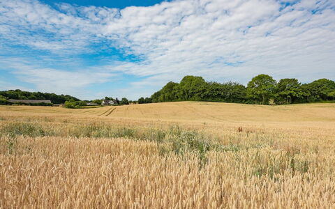 Edithe - 250M from the Sea: Blauw, Dag, Veld, Landbouw, Wolk, Grasland, Natuurlijk Landschap, Plain, Ecoregio, Zomer