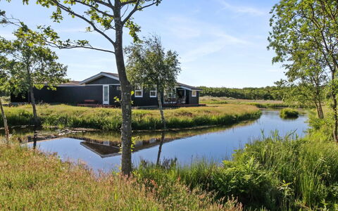 Allis - 400M from the Sea: Thatching, Verblijf, Huis, Dak, Huis, Boerderij, Hut, Landgoed, Dorp