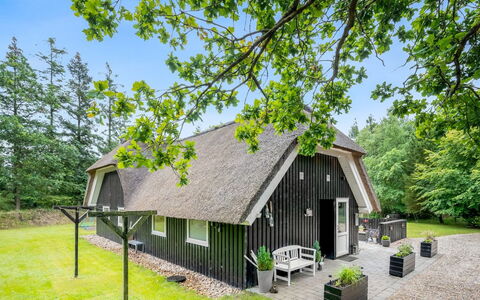 Arttu - 2.4Km from the Sea: Plantengemeenschap, Zonlicht, Kruidachtige Plant, Tuin, Plantage, Landbouw, Boerderij