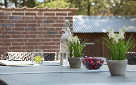 Satzur - 800M from the Sea: Bloempot, Tafel, Meubilair, Buitentafel, Kamerplant, Buitenmeubels, Serveware, Stoel, Voedsel