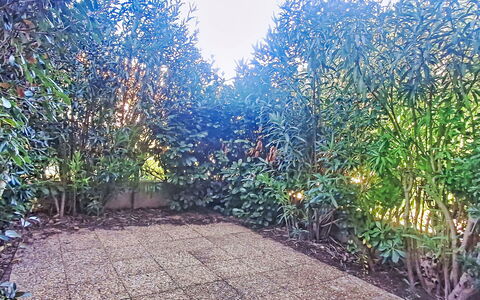 Six Fours 100: Woody Plant, Tuin