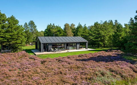 Tea - 2.7Km from the Sea: Struik, Stedelijk Ontwerp, Groundcover, Steen, Appartement, Landgoed, Metselwerk, Balkon, Landscaping