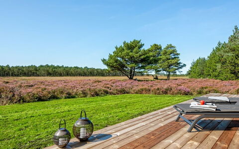 Tea - 2.7Km from the Sea: Struik, Stedelijk Ontwerp, Groundcover, Steen, Appartement, Landgoed, Metselwerk, Balkon, Landscaping