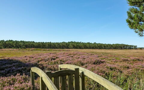 Tea - 2.7Km from the Sea: Struik, Stedelijk Ontwerp, Groundcover, Steen, Appartement, Landgoed, Metselwerk, Balkon, Landscaping