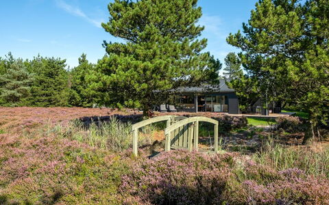 Tea - 2.7Km from the Sea: Struik, Stedelijk Ontwerp, Groundcover, Steen, Appartement, Landgoed, Metselwerk, Balkon, Landscaping