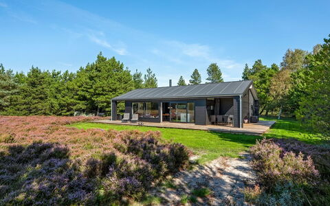 Tea - 2.7Km from the Sea: Struik, Stedelijk Ontwerp, Groundcover, Steen, Appartement, Landgoed, Metselwerk, Balkon, Landscaping