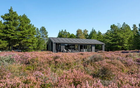 Tea - 2.7Km from the Sea: Struik, Stedelijk Ontwerp, Groundcover, Steen, Appartement, Landgoed, Metselwerk, Balkon, Landscaping