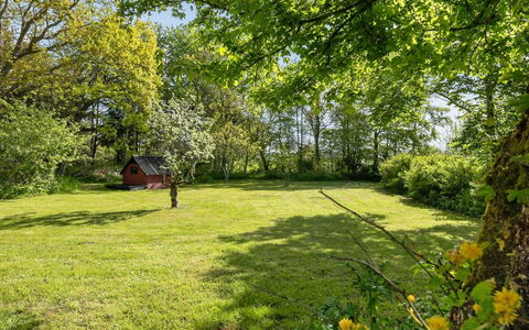 Iiro - 2.5Km from the Sea: Gras, Boom, Blad, Groen, Natuur, Natuurlijke Omgeving, Afdeling, Vegetation, Natuurlijk Landschap, Grasland