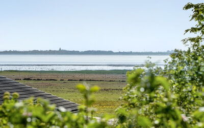 Iiro - 2.5Km from the Sea