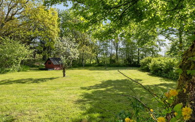Iiro - 2.5Km from the Sea