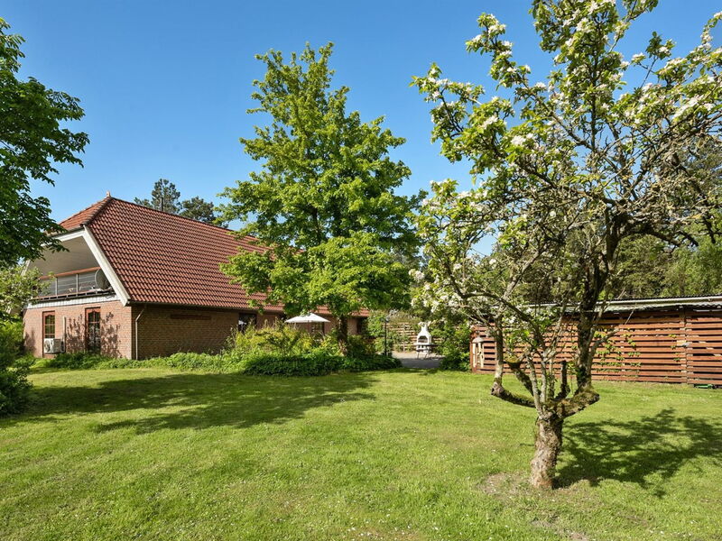 Iiro - 2.5Km from the Sea