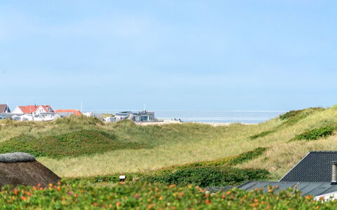 Stener - 250M from the Sea: Landschap, Dak, Land Lot, Plain, Veld, Prairie, Voorstad, Kust, Steppe, Boerderij