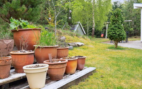 Seraphina - 2Km from the Sea: Groen, Bloempot, Struik, Tuin, Kamerplant, Backyard, Pottenbakkerij, Werf