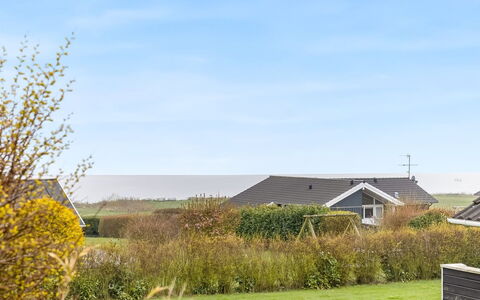 Hera - 200M from the Sea: Plantengemeenschap, Zonlicht, Kruidachtige Plant, Tuin, Plantage, Landbouw, Boerderij