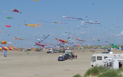 Edelina - 50M from the Sea