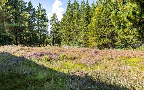 Maija - 1.4Km from the Sea: Verblijf, Schuur, Hut, Boerderij, Prairie, Keet, Schuur, Blokhut, Garden Gebouwen