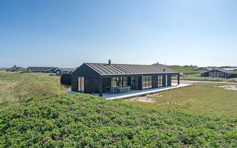Aiko - 50M from the Sea: Plantengemeenschap, Zonlicht, Kruidachtige Plant, Tuin, Plantage, Landbouw, Boerderij