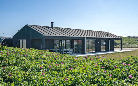 Aiko - 50M from the Sea: Plantengemeenschap, Zonlicht, Kruidachtige Plant, Tuin, Plantage, Landbouw, Boerderij