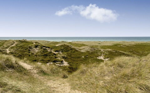 Fabiana - 350M from the Sea: Hout, Dak, Architectuur, Huis, Huis, Verblijf, Siding, Hardwood, Helling, Landgoed