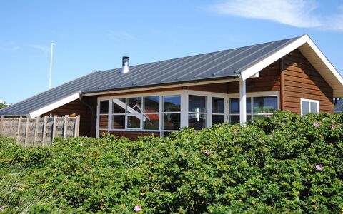 Geeske - 400M from the Sea: Huis, Dak, Huis, Verblijf, Schuur, Garden Gebouwen, Siding, Werf, Blokhut, Hut